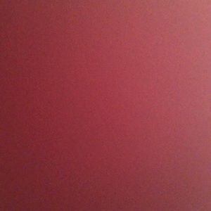 Meet your Posher, Lily